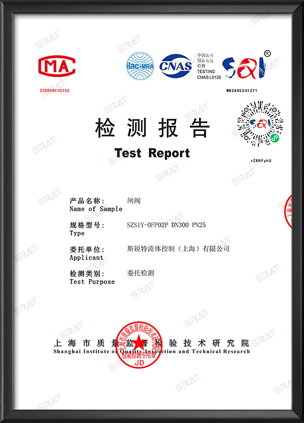 CMA检验检测报告-闸阀